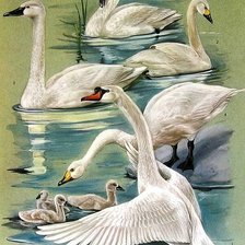 Схема вышивки «Семья»