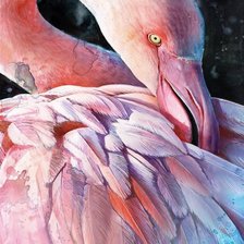 Схема вышивки «фламинго»