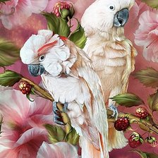 Схема вышивки «два попугая»