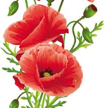 Схема вышивки «Маки»