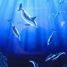 Схема вышивки «Затонувшие сокровища»