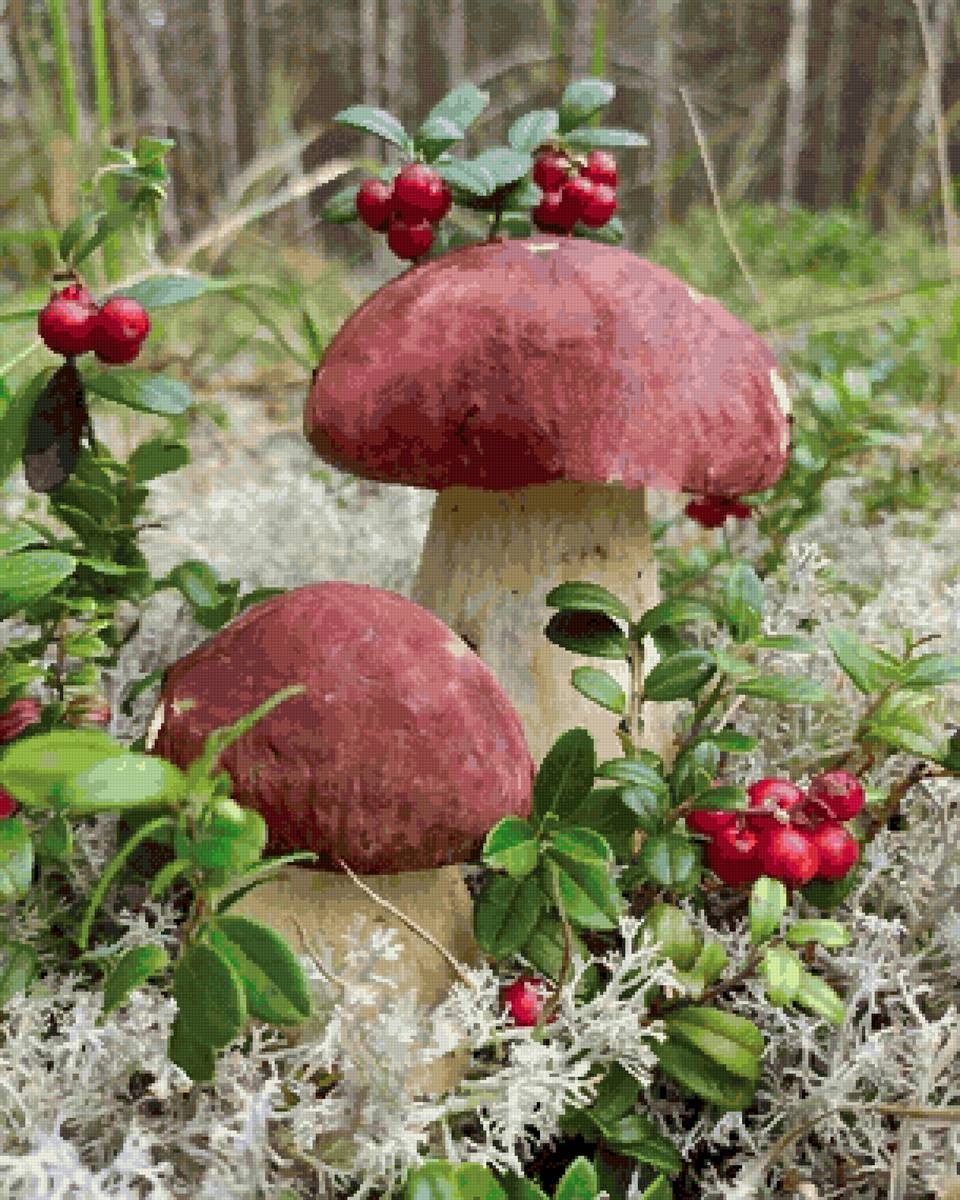 Грибная пора - гриб, брусника, ягоды - предпросмотр