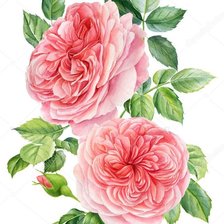 Схема вышивки «№2529150»