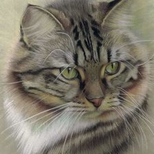 Схема вышивки «№2529244»