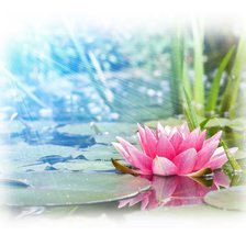 Схема вышивки «Лотос»