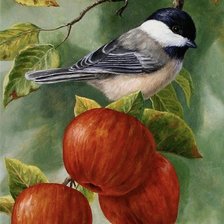 Схема вышивки «урожай»