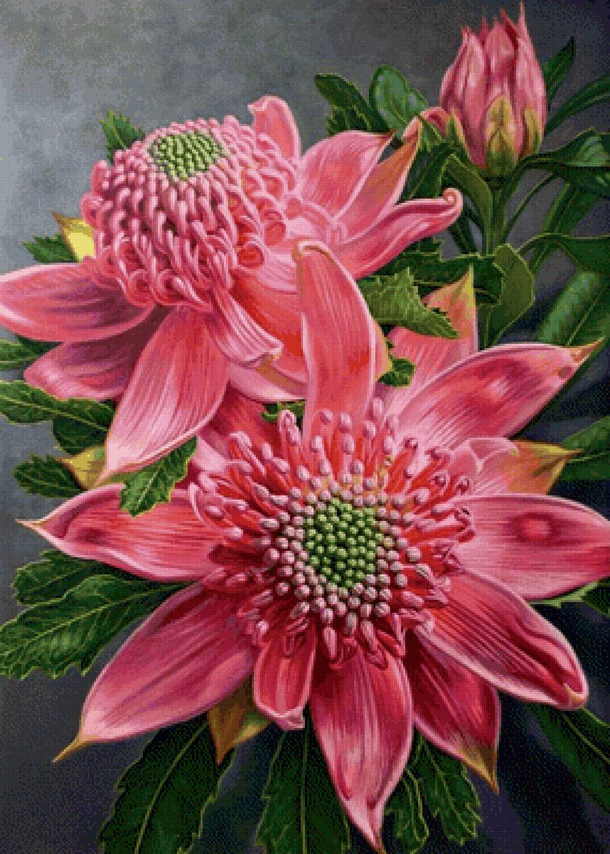 Красота природы - цветы, растения - предпросмотр