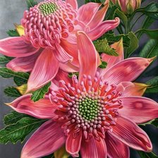 Схема вышивки «Красота природы»