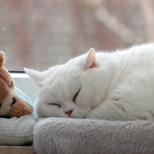 Схема вышивки «Спят усталые игрушки»