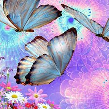 Схема вышивки «Бабочки»