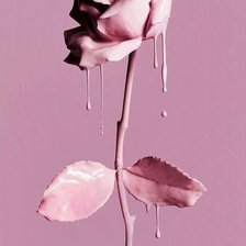 Схема вышивки «Роза»