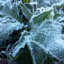 Схема вышивки «Иней»