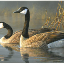 Схема вышивки «№2530490»