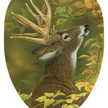 Схема вышивки «№2530506»