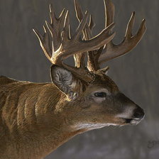 Схема вышивки «№2530509»