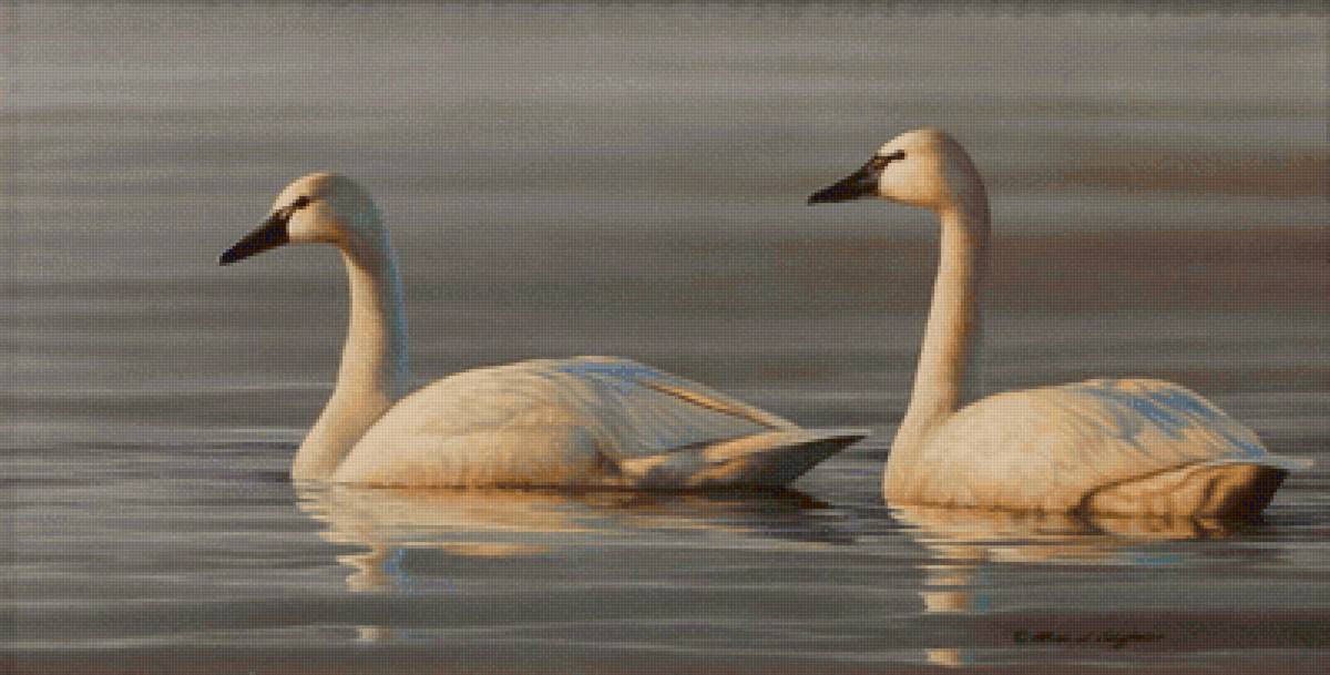 №2530596 - предпросмотр