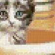 Предпросмотр схемы вышивки «Коты» (№2530711)
