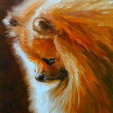 Схема вышивки «Шпиц»