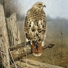 Схема вышивки «№2531032»