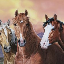 Схема вышивки «№2531673»