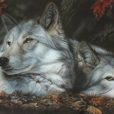 Схема вышивки «№2531805»