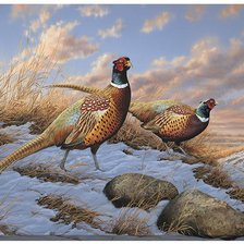 Схема вышивки «№2531810»