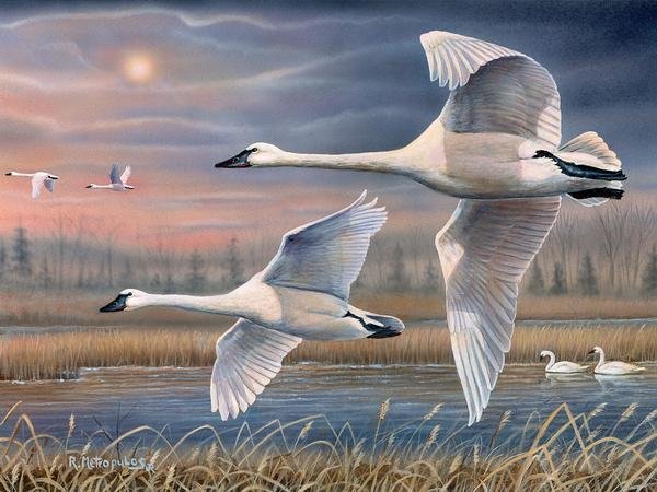 №2531832 - оригинал