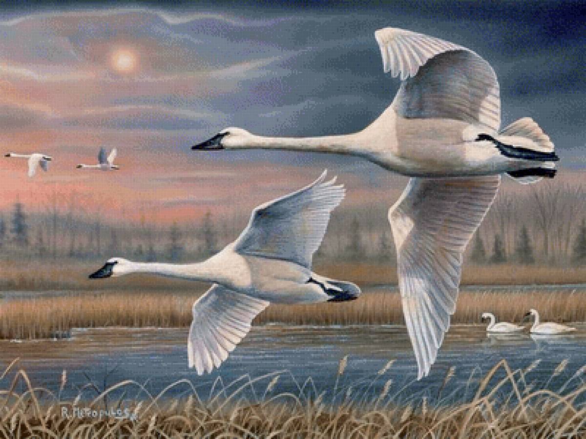 №2531832 - предпросмотр