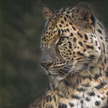 Схема вышивки «№2531837»