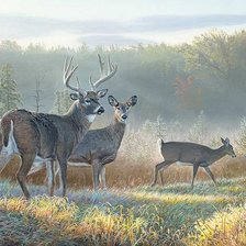 Схема вышивки «№2531859»