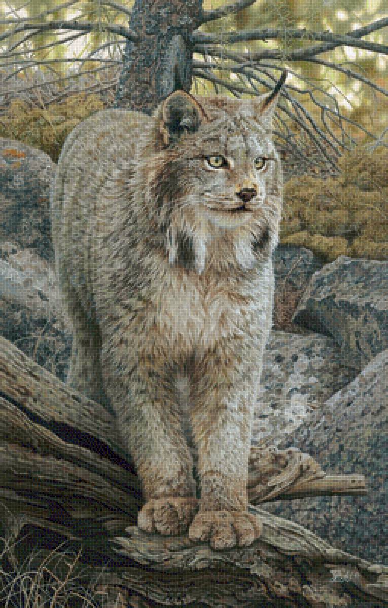 №2531877 - предпросмотр