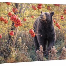 Схема вышивки «№2531878»