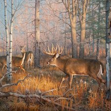 Схема вышивки «№2531879»