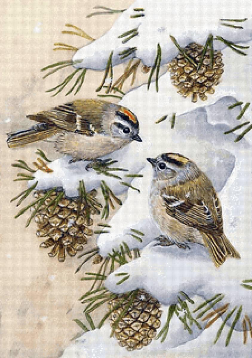 №2531905 - воробьи, зима, птицы - предпросмотр