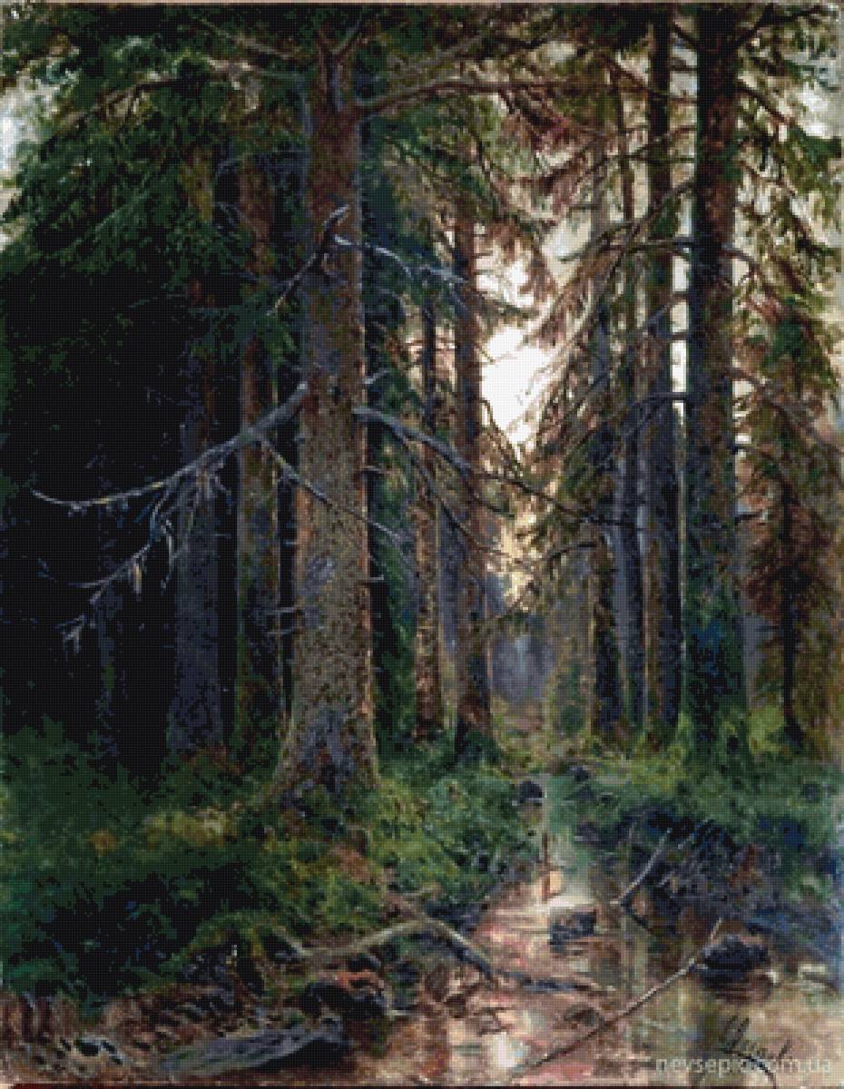 лесная чаща - предпросмотр