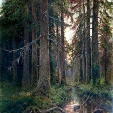 лесная чаща