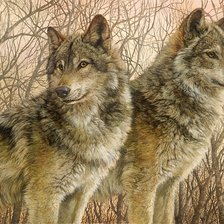 Схема вышивки «№2532214»