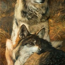 Схема вышивки «№2532303»