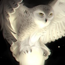 Схема вышивки «Белая сова с шаром»