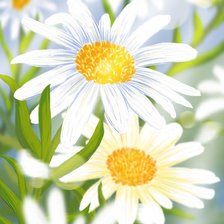 Схема вышивки «ромашки»