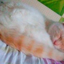 Схема вышивки «кефирка»