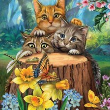 Схема вышивки «sue{o»