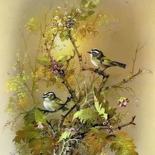 Схема вышивки «crema»