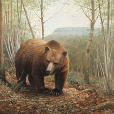 Схема вышивки «№2533059»