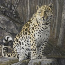 Схема вышивки «№2533067»