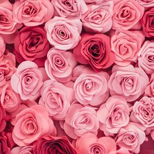 Схема вышивки «Розы»