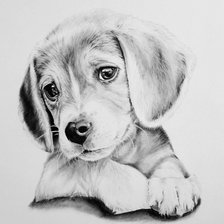 Схема вышивки «Щеночек»