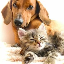 Схема вышивки «друзья»