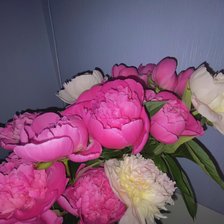 Схема вышивки «Пионы»