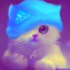 Схема вышивки «котенок»